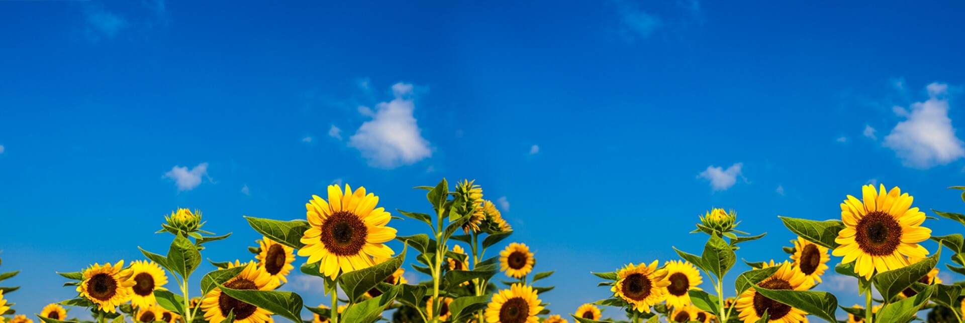 24848威尼斯(中国游)有限公司官网